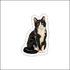 CMS-1949 Tuxedo Black & White Cat Sticker | Removable Sticker | Set of 10