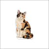 CMS-1950 Calico Cat | Acrylic Contour