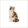 CMS-1952 Calico Cat Ornament | 0.25Acrylic Ornament & Ribbon | Case of 25