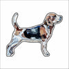 CMS-841-C10 Beagle Button | 0.125Acrylic Button | Case of 10