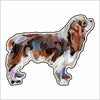 CMS-740-C10 Cavalier King Charles Blenheim Sticker |  Removable | Case of 10