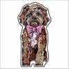 CMS-746-C10 Cavapoo Red with Pink Bow Sticker |  Removable | Case of 10