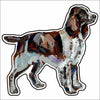 CMS-888-C10 English Springer Spaniel Button | 0.125Acrylic Button | Case of 10