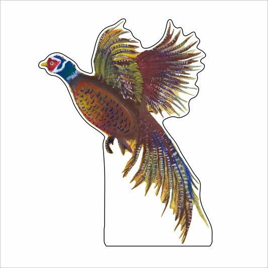 CRH-001 Colorful Flight | 0.75Acrylic Contour |