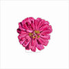 CSR-004 Pink Flower Mini | 0.50Acrylic Mini Contour