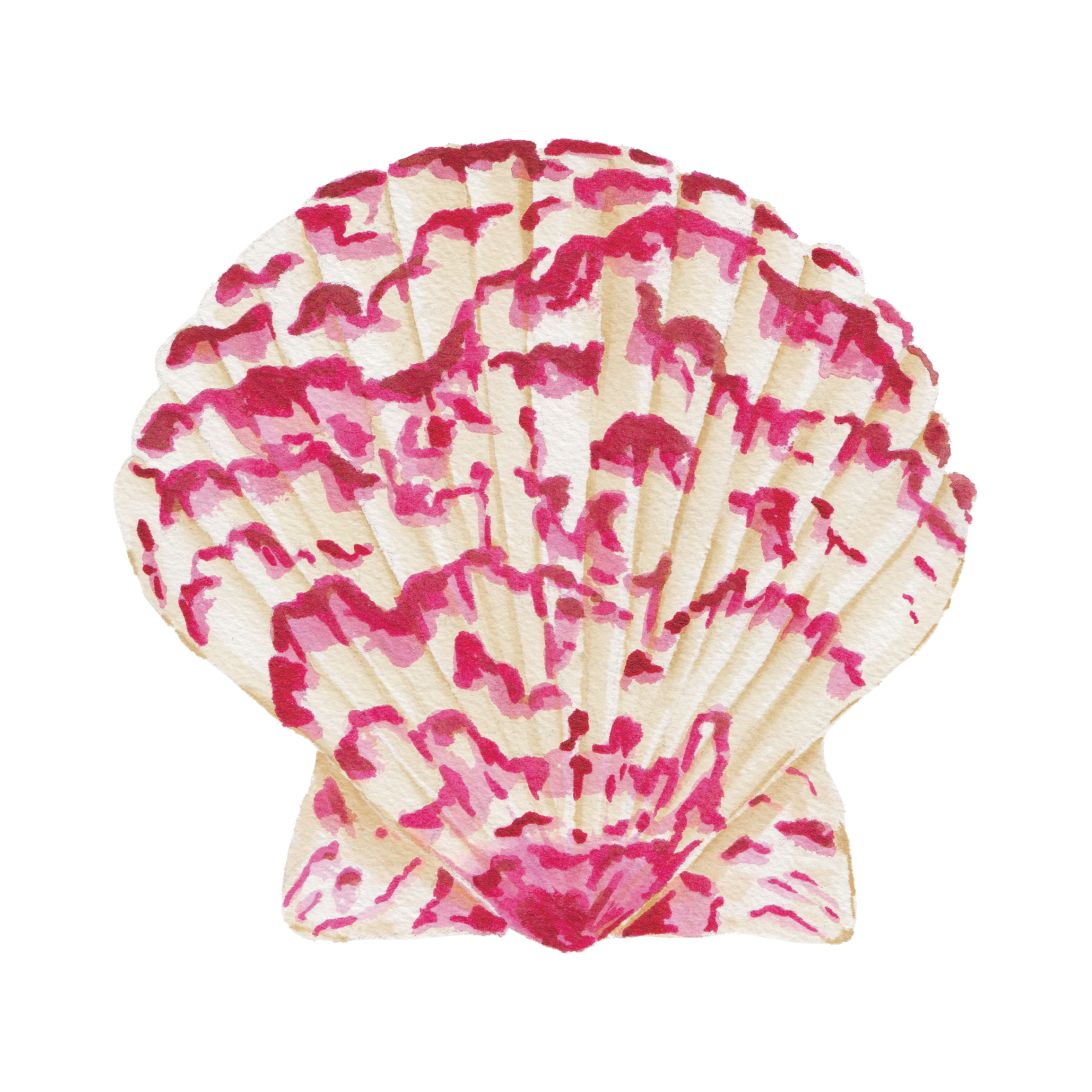 CCRT-023 Calico Scallop Mini | 0.50" Acrylic Cutout | Case Bundle of 25