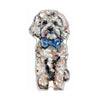 Cavapoo Blonde Blue Bow | 0.50in. Acrylic Mini | Case of 25