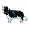 Charles King Cavalier | 0.75in. Acrylic Cutout | Case Bundle any 10+ (Pack of 1)