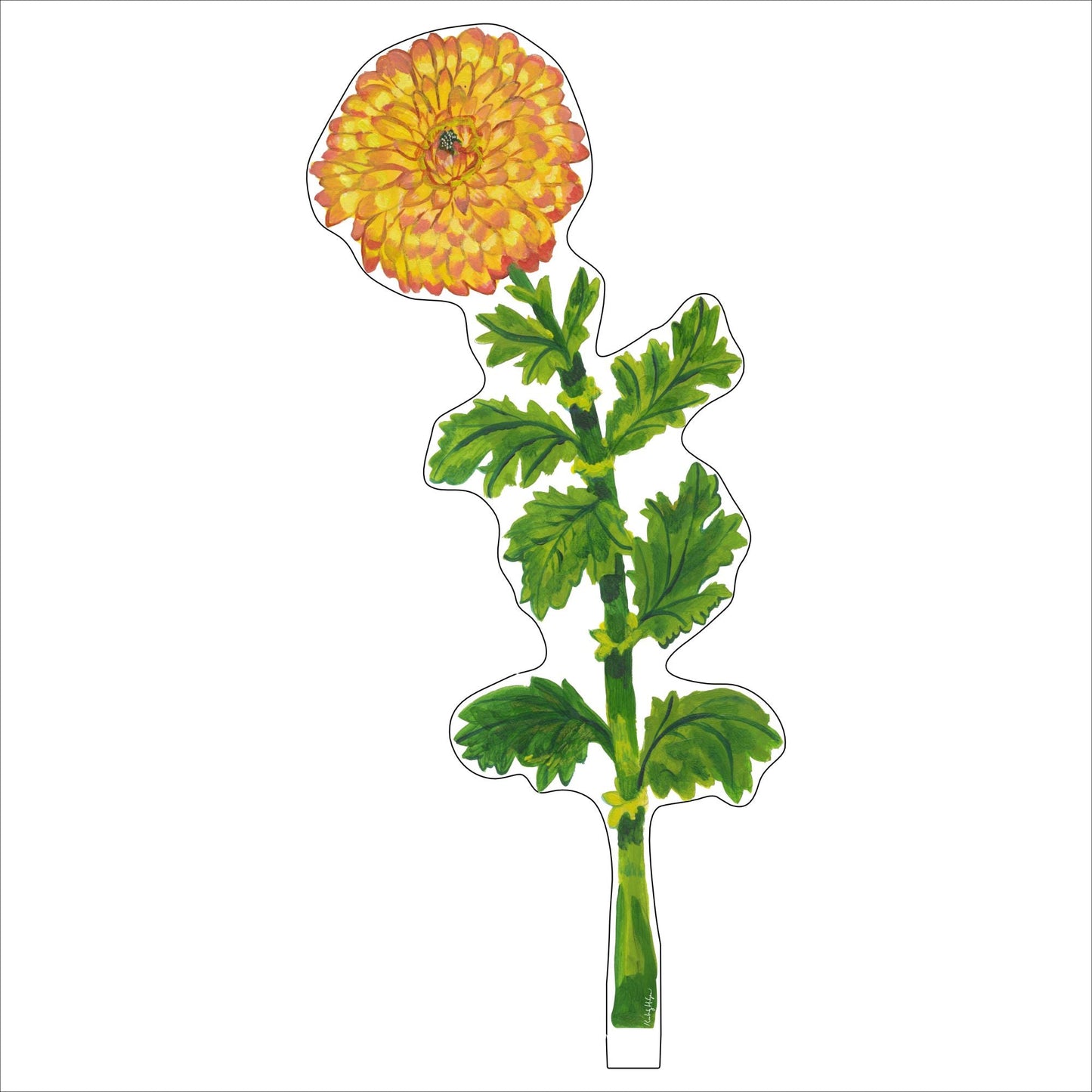 Chrysanthemum | 0.25in. Acrylic Floral