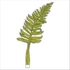 Classic Fern | 0.25in. Acrylic Floral
