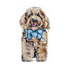 Cockapoo Blonde Blue Bow | 0.50in. Acrylic Mini | Case of 25