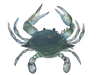 Crab | 0.75in. Acrylic Cutout | Dropship
