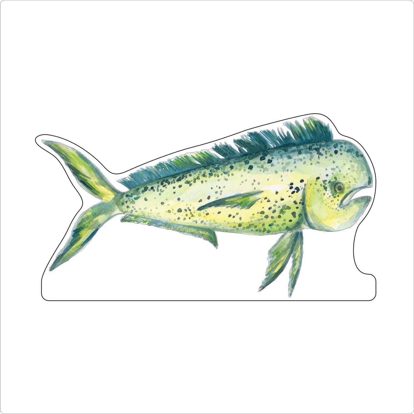 DFA-019 Mahi | 0.75Acrylic Contour |