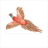 DFA-025 Pheasant 1 | 0.75Acrylic Contour |