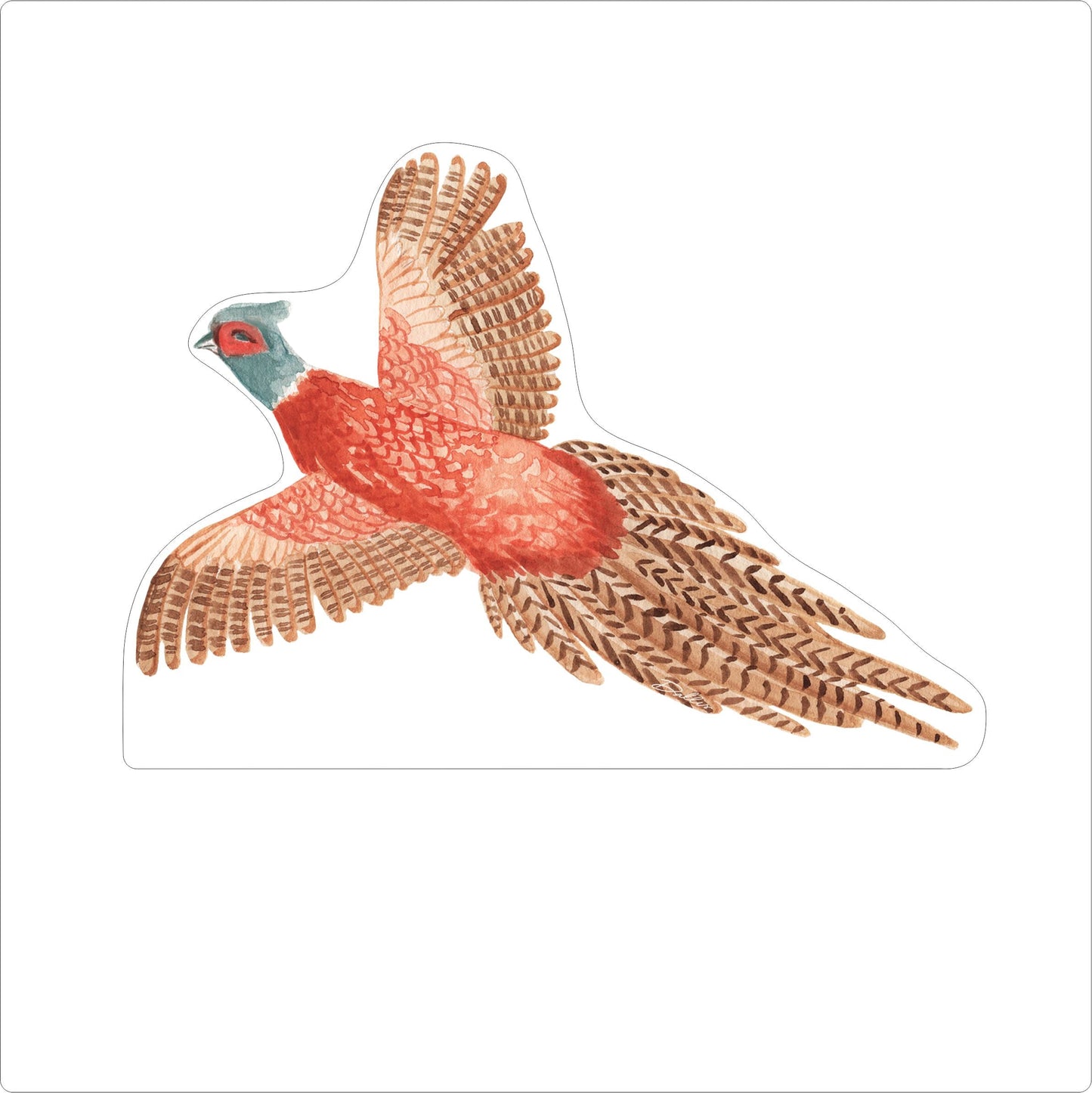 DFA-025 Pheasant 1 | 0.75Acrylic Contour |