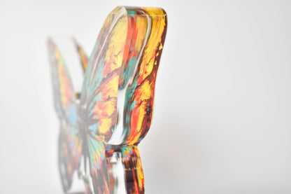 Large Acrylic Contour | 0.75" Acrylic | PHP Prototype