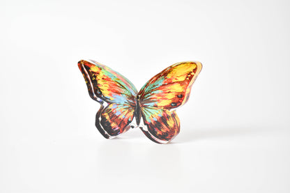 Mini Acrylic Contour | 0.50" Acrylic | PHP Prototype