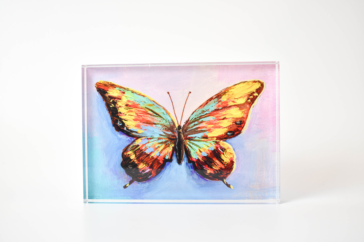 Large Acrylic Block | 0.75" Acrylic | PHP Prototype