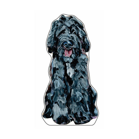 Doodle Black Shaggy