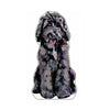 Doodle Chocolate | 0.50in. Acrylic Mini | Case of 25