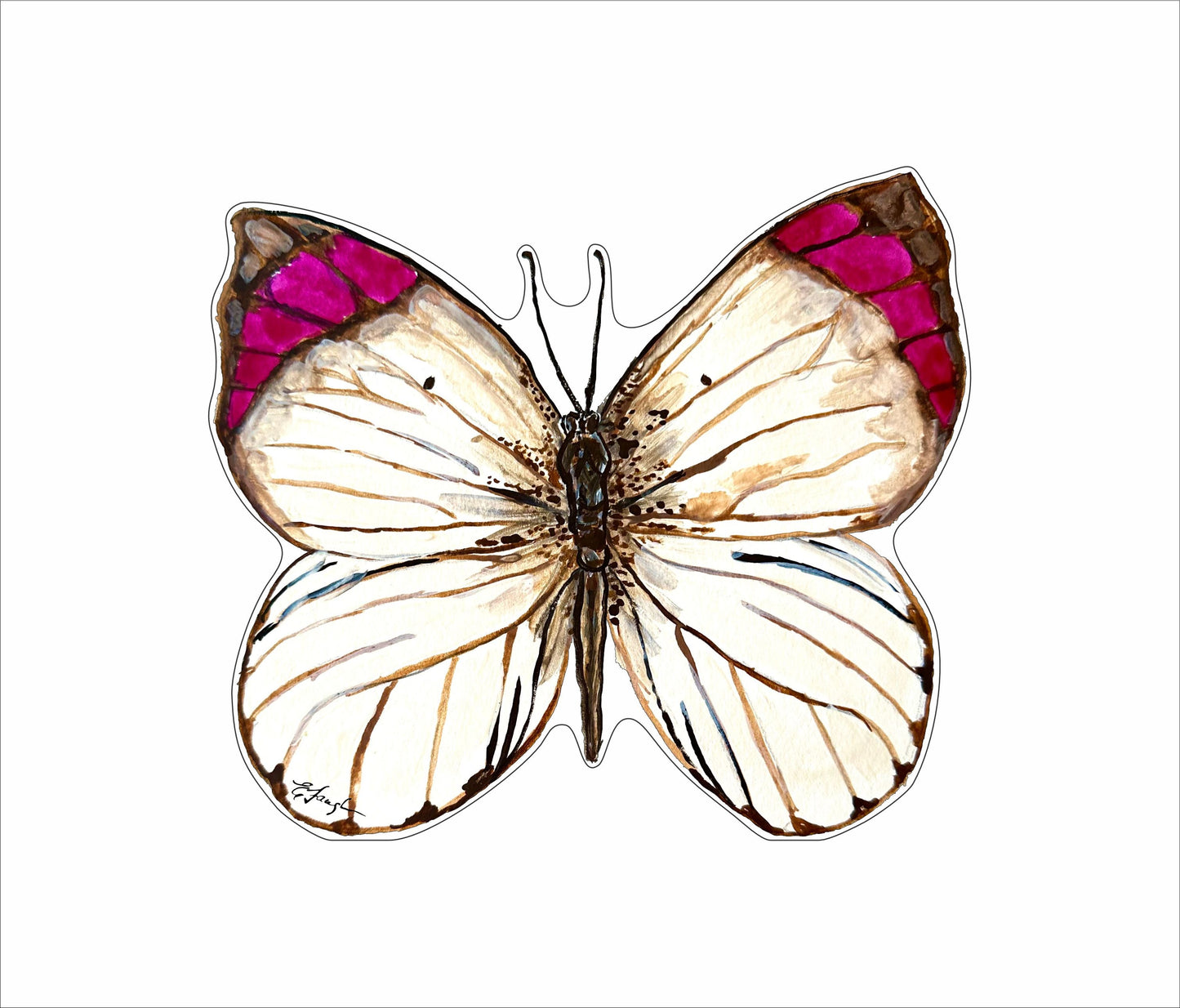 EFA-011 White Butterfly Mini | 0.50in. Acrylic Contour |