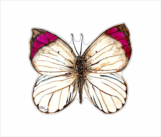 EFA-011 White Butterfly Mini | 0.50in. Acrylic Contour |