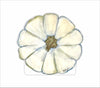 EFA-010 White Pumpkin | 0.75in. Acrylic Contour |