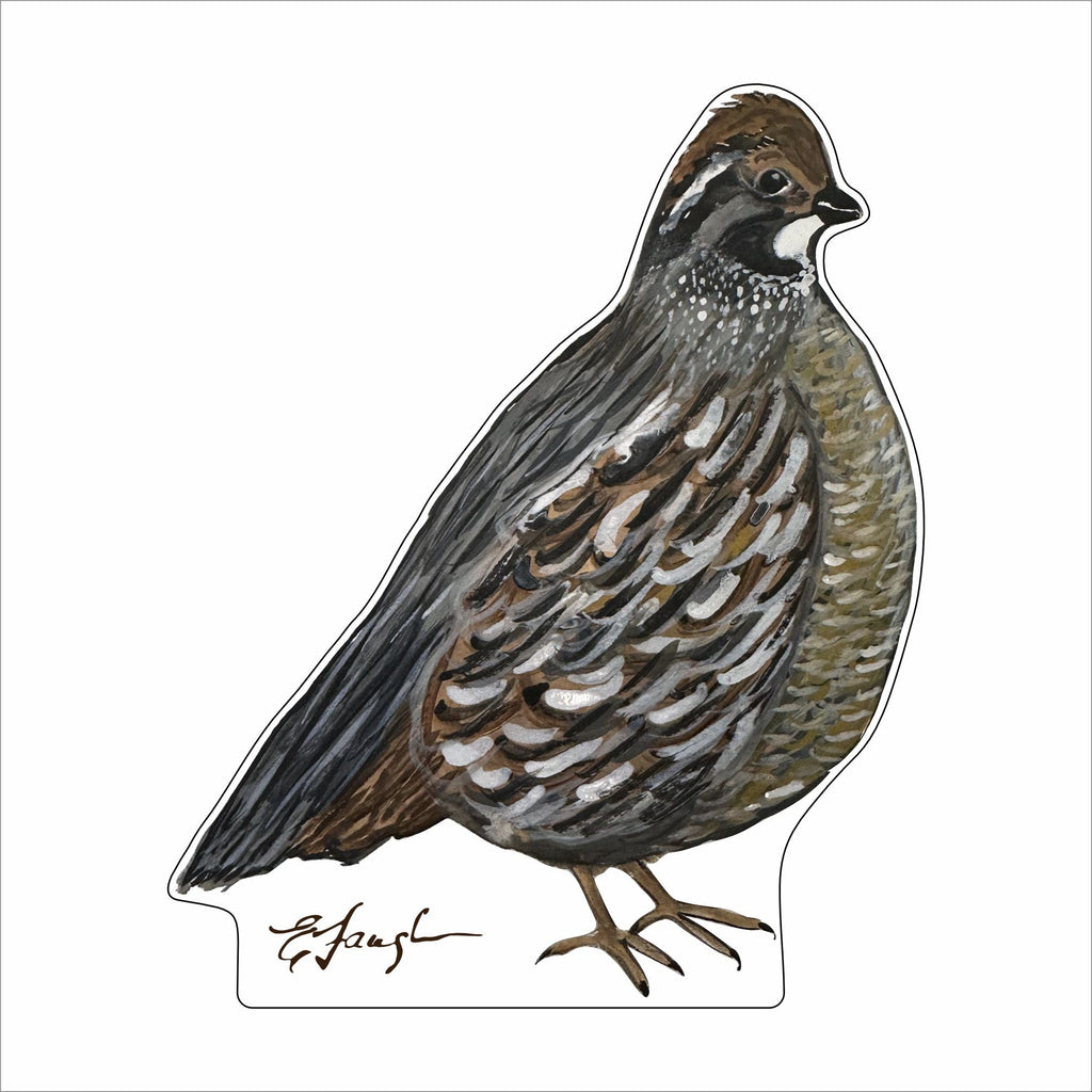 EFA-016 Female Bobwhite Quail | 0.75in. Acrylic Contour |