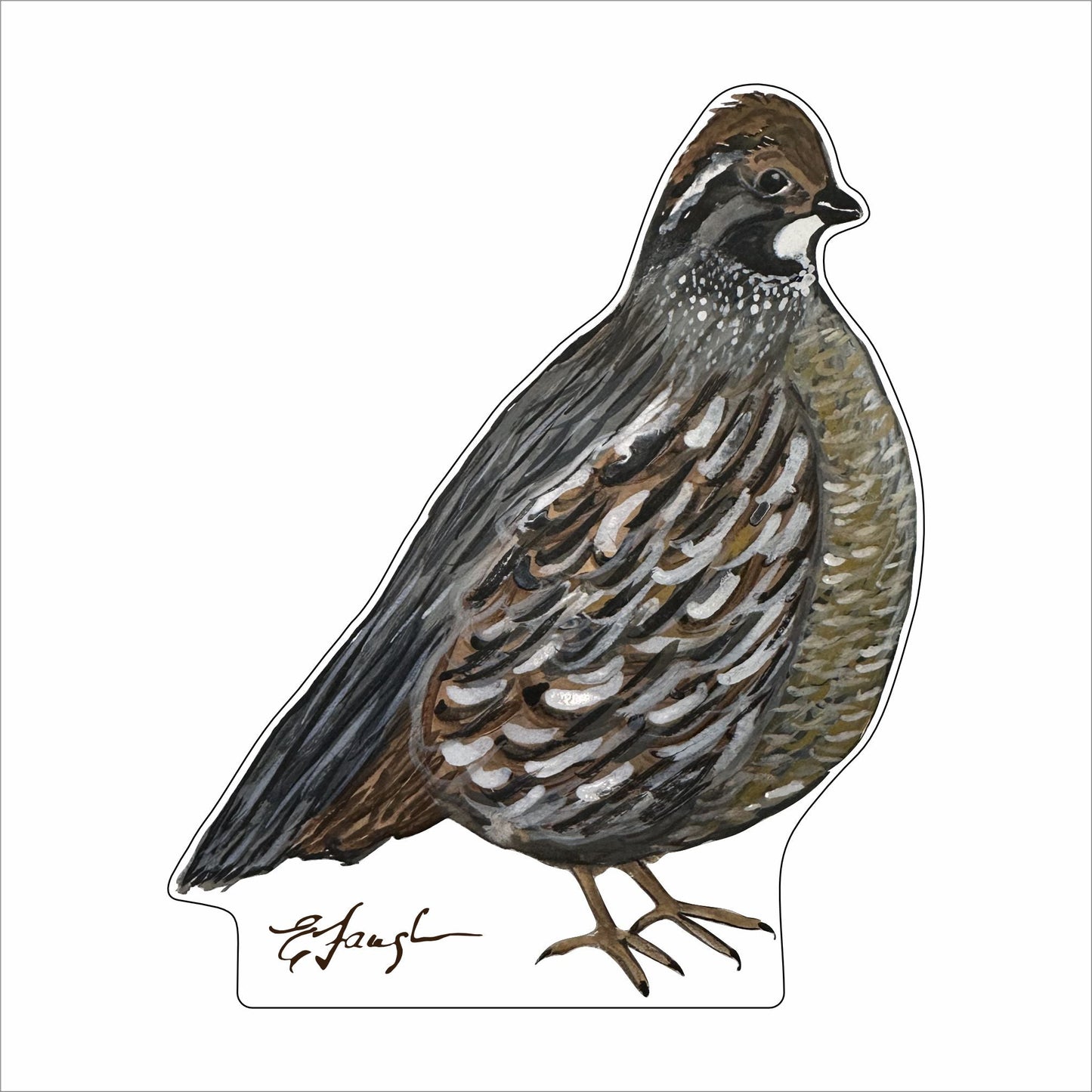 EFA-016 Female Bobwhite Quail | 0.75in. Acrylic Contour |