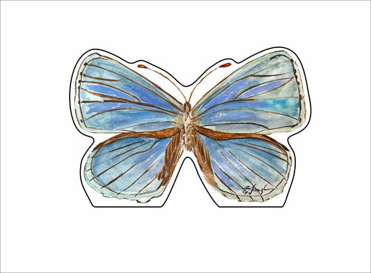 EFA-020 Small Blue Butterfly Mini | 0.50Acrylic Mini |