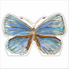 EFA-022 Blue Butterfly | 0.75Acrylic Contour |