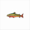 EMA-031 Brook Trout Magnet | 0.125Acrylic Magnet | Case of 4