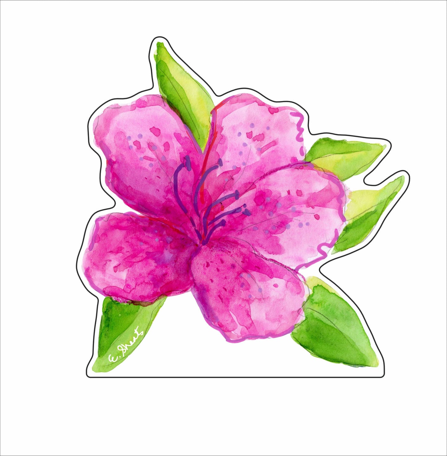 ESA-032 Azalea | 0.75Acrylic Contour | Case of 30