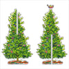 Engleman Spruce 2 PIECE | 0.25in. Acrylic