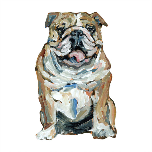 English Bulldog Fawn & White | 0.75in. Acrylic Shelfie | Case of 25