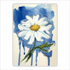 GAS-001 Daisy | 0.75Acrylic Contour