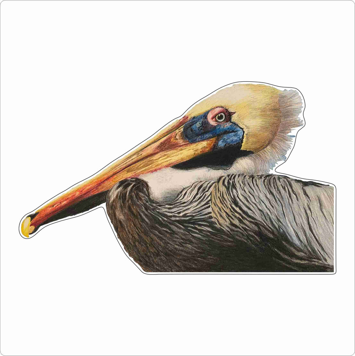 GAS-006 Pelican | 0.75Acrylic Contour
