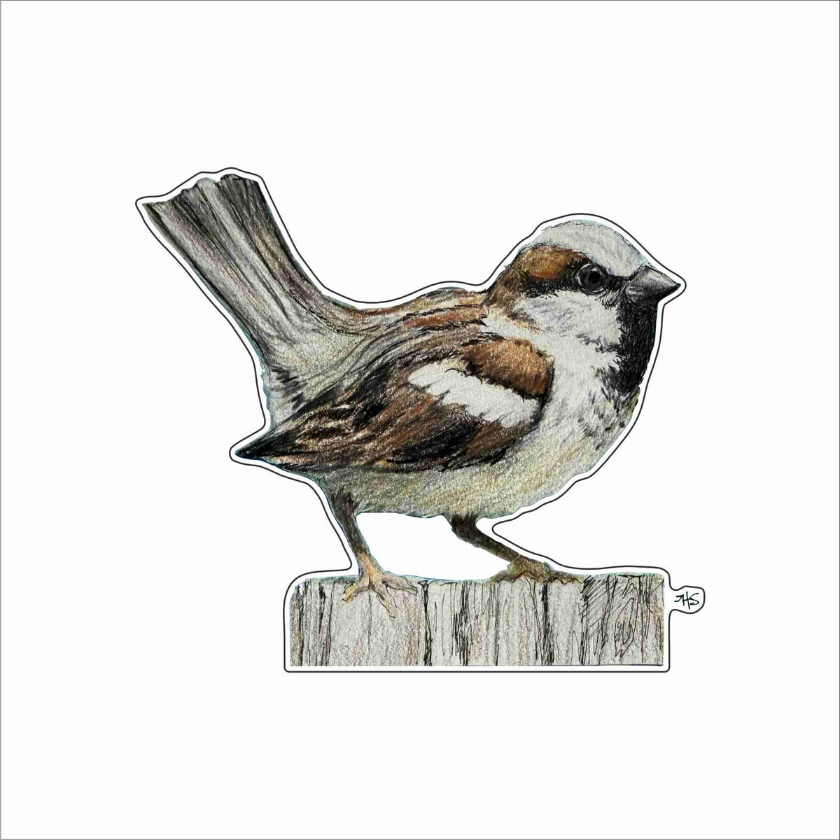GAS-010 Sparrow Mini | 0.50Acrylic Mini Contour