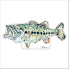 Gone Fishing Bass | 0.75in. Acrylic Cutout | Case Bundle any 10+ (Pack of 1)