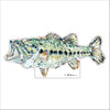Gone Fishing Bass | 0.50in. Acrylic Mini | Case of 25