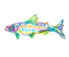 CEC-001 Greenfin | 0.75in. Acrylic Contour | Mix and  Match (any 10+)