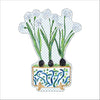 Paper Whites | 0.75in. Acrylic Cutout |