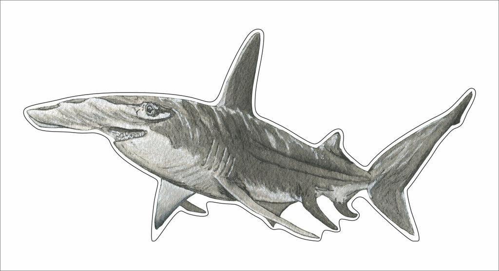 JRD-002 Hammerhead Shark | 0.75in. Acrylic Contour |