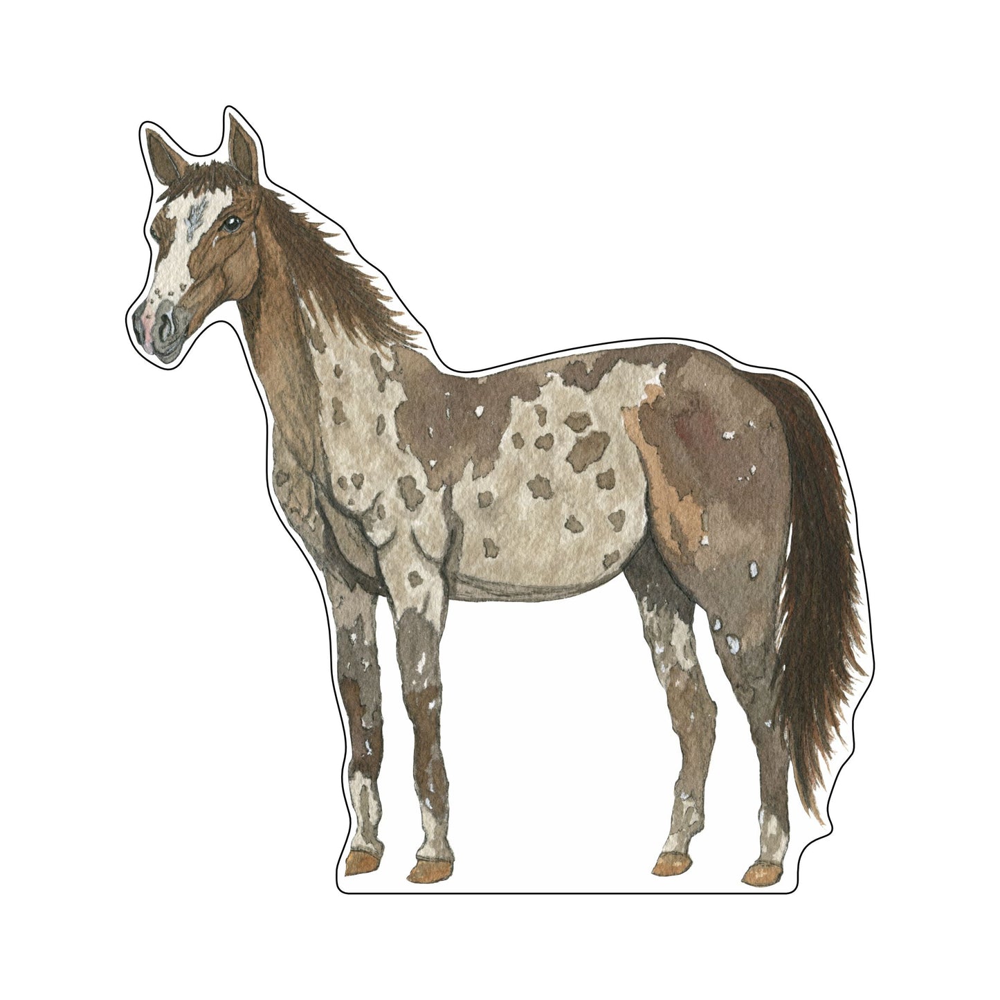 JRD-011 Horse | 0.75Acrylic Contour |