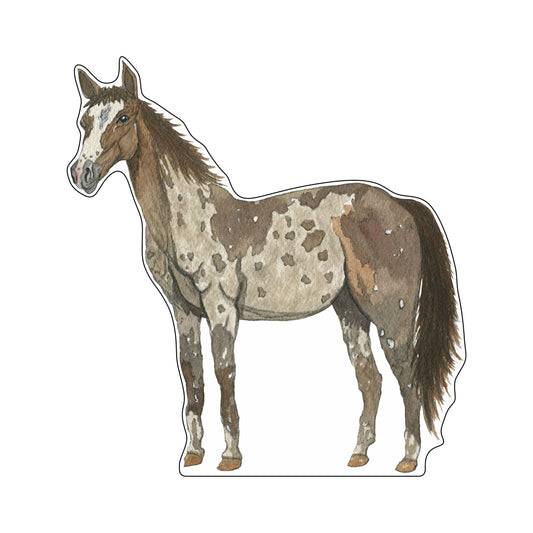 JRD-011 Horse | 0.75Acrylic Contour |