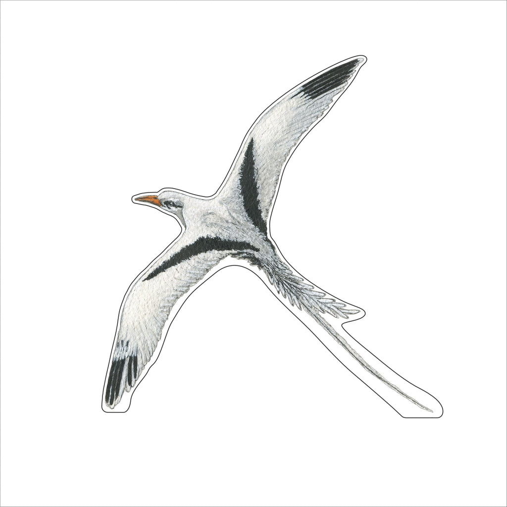 JRD-013 Bermuda | 0.75Acrylic Contour |