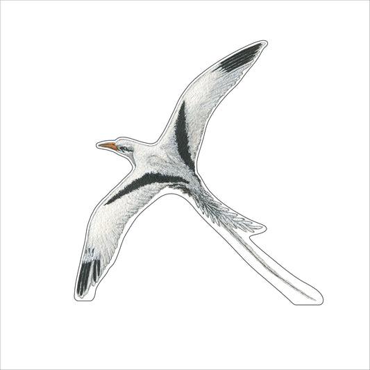 JRD-013 Bermuda | 0.75Acrylic Contour |