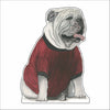JRD-021 Bulldog | 0.75Acrylic Contour |