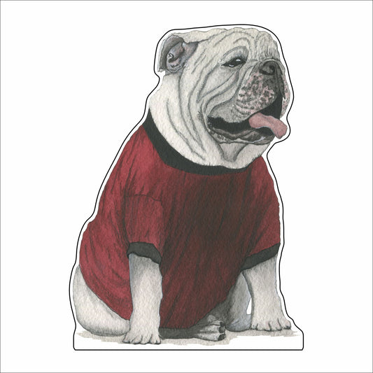 JRD-021 Bulldog | 0.75Acrylic Contour |
