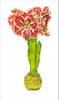 Ruffle Amaryllis | 0.25in. Acrylic Floral